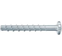 Fischer UltraCut FBS II - Tornillo de cabeza alomada (6 x 40/5, 100 unidades)