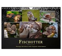 Fischotter - putzige Kerlchen und elegante Schwimmer (Wandkalender 2026 DIN A4 quer), CALVENDO Monatskalender: Der Fischotter ist zwar ein ... das possierliche Tier einfach nur knuddeln.