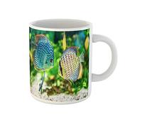 Fish Azul Symphysodon Discus En Acuario Sobre Fondo Verde Colorido Tazón Novedad Tazas Té Graciosa Tazas De Regalo Regalos Divertidos Para Amigos Familiares Trabajo 330Ml