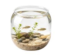 Fish Bowl - Clear Shatterproof Round Aquarium Tank for Desktop | Acrylic Transparent Small with Fish Container, Acrylic Transparent Container, Shrimp Betta Bowl for Home Office Dorm Living Room Decor