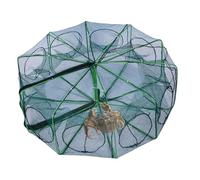 Fish Trap Net, Folding Crab Cage, Escape-Proof Design, Sturdy Nylon Mesh, Storage Frame, Ideal for Shrimping Adventures and Freshwater Fishing at Lakes or Ponds, 6 to 10 Holes