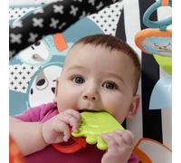 Fisher-Price HBP41 gimnasio para bebé y tapete de juego Multicolor Gimnasio para bebés