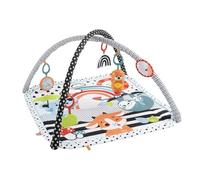 Fisher-Price HBP41 gimnasio para bebé y tapete de juego Multicolor Gimnasio para bebés