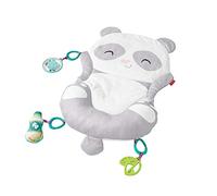 Fisher-Price All-in-one Panda Playmat
