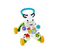 Fisher-Price DLD87 andador Multicolor