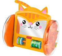 Fisher-Price Baby Toy FP Pets Crawl-After Kitty Babyspiegel, buiktijd en trackin