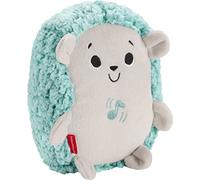Fisher-Price Erizo vibración y Sonidos, Juguete de Cuna y Peluche para bebé recién Nacido (Mattel fxc58).