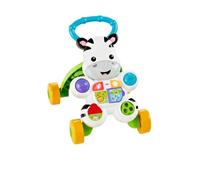 Fisher-Price Fisher First Steps Pushable, Juguete electrónico educativo con música y sonidos, Apto para niños a partir de 6 meses, Cebra, Multicolor