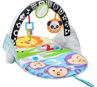 Fisher-Price- gimnasio infantil, Color azul (Mattel FXC14)