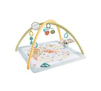 Fisher-Price Gimnasio Multisensorial para Bebé JMN74 con 6 Juguetes Intercambiables, Espejo y Móvil para Cochecito, Portátil (Español)