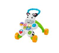 Fisher-Price DLD87 andador Multicolor