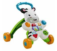 Fisher-Price DLD87 andador Multicolor