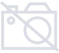 Fisher-Price Juguete educativo para bebés y niños pequeños, Beat Bande Números y Hechizos Panda Liz con música interactiva y luces para niños a partir de 9 meses, edición alemana HYL32