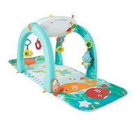 Fisher-Price- Juguete, Multicolor (Mattel FNF24) , color/modelo surtido