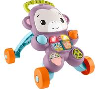 Fisher-Price Learn with Me Púrpura Monkey Walker