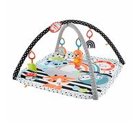 Fisher-Price HBP41 gimnasio para bebé y tapete de juego Multicolor Gimnasio para bebés