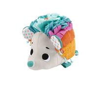 Fisher-Price Peluche erizo sonajero con diferentes texturas, juguete para bebé recién nacido (Mattel HBP42)