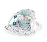 Fisher-Price Sit-Me-Up Floor Seat