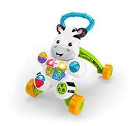 Fisher-Price DLD87 andador Multicolor