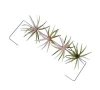 Fishing Lures,4 Pieces Slow Sinking Baits - 7x7cm Soft Floating Fishing Lures,for Women Men Beginner Lover Reliable Rigging Options For Trout Catfish Boat Trolling Pond Lake Stream