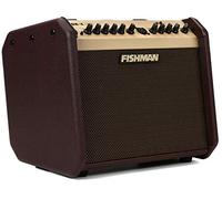Fishman Loudbox Mini Bluetooth Combo para Guitarra Acústica-Eléctrica