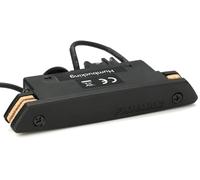 Fishman, Pro-Rep-102 - Pastilla para Guitarra acústica