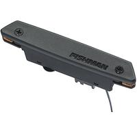Fishman PRO-REP-BQ1 - Pastilla de tierras raras Bajo Quinto Soundhole