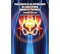 FISIOTERAPIA EN LAS DISFUNCIONES DEL SUELO PÉLVICO DURANTE EL POSPARTO. A PROPÓSITO DE UN CASO: 1 (Ensayo)