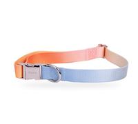Fisura - Collar para Perros Ajustable con Estampado Degradado. Collar de Nylon para Perro Mediano y Grande. De Nylon con Hebilla de liberación rápida de Zinc. 2,5 cm de Ancho.