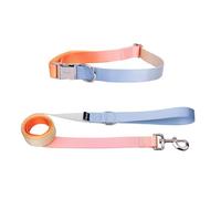 Fisura - Conjunto de Collar y Correa para Perros pequeños y medianos con Estampado Degradado. Juego de Collar y Correa Ajustable para Perro Original. Nylon.