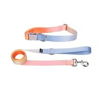 Fisura - Conjunto de Collar y Correa para Perros pequeños y medianos con Estampado Degradado. Juego de Collar y Correa Ajustable para Perro Original. Nylon.