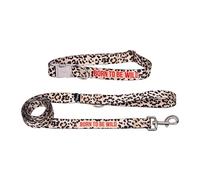 Fisura - Conjunto de Collar y Correa para Perros pequeños y medianos con Mensaje “Born to be Wild”. Juego de Collar y Correa Ajustable para Perro Original. Nylon.