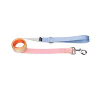 Fisura - Correa de Perro Original con Estampado Degradado. Correa para Perros pequeños y medianos. Cuerda de Paseo de Nylon Resistente con mosquetón. Agarre Suave. 2,5 cm x 120 cm.