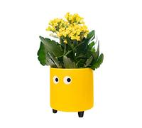 Fisura - Macetero Original con diseño de Ojos. Macetero Decorativo Interior. Macetero con Patas para Cactus. Maceta de cerámica para Flores y suculentas.13 x 12,5 cm. (Amarillo)