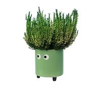 Fisura - Macetero Original con Diseño de Ojos. Macetero Decorativo Interior con Patas para Cactus. Maceta de Cerámica para Flores y Suculentas. 13 x 12,5 cm. (Verde)