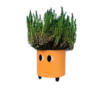 Fisura - Macetero Original con diseño de Ojos. Macetero Decorativo Interior. Macetero con Patas para Cactus. Maceta de cerámica para Flores y suculentas.13 x 12,5 cm. (Naranja)