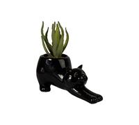 Fisura - Macetero Original con Forma de Gato. Macetero Decorativo Interior. Maceta pequeña para Cactus. Maceta de cerámica para suculentas . 23 x 10 cm. (Negro)