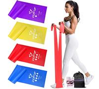 Fitness Bands, Exercise Band with 4 Resistance Levels, Fitness Band with Carry Bag and Exercise Instructions (English language not guaranteed), Ideal for Yoga, Pilates Crossfit