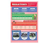 Fitness Training Wall Chart - Muscular Strength Anatomy Poster for PE Classroom, Home Gym Decor & Exercise Education(Framed,12x18inch(30x45cm))