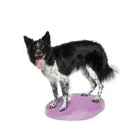 FitPAWS Disco de Equilibrio para Mascotas Color Frutos Rojos 56 cm Mascotas