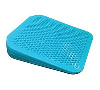 FitPAWS Rampa de Equilibrio para Mascotas Azul Entrenador de Agilidad Perros