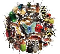 Fituenly Juego De 50 Pegatinas De Insectos, Autoadhesivas, Transparentes E Impermeables, para Scrapbooking, Diarios, Álbumes, Fundas De Teléfono, Portátiles Y Tarjetas.