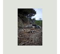 Five Easy Hot Dogs (CD)