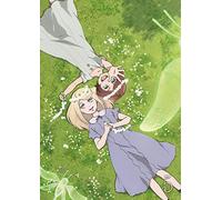 Five Fairy Scholars - Fairy Gone Vol.5 [Edizione: Giappone] [Italia] [Blu-ray]