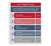 Five Level Triage Acuity Scale Poster Canvas Painting Wall Art for Emergency Room Waiting Area Living Room Bedroom