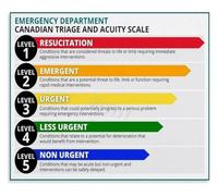 Five Level Triage System Poster Emergency Department Canvas Print for Nurse Doctor Training Office Wall Decor