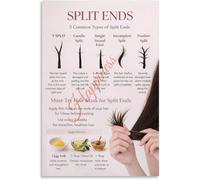 Five Split End Varieties Chart Salon Poster