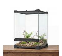 FixHaven Recinto de vidrio para reptiles, tanque de geco arbóreo de 6 galones de alto, 10 x 10 x 14 pulgadas, hábitat pequeño sin montaje para reptiles y anfibios que viven en árboles tropicales