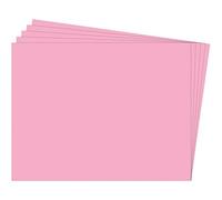 Fixo Paper 11100553 - Paquete de 125 cartulinas grandes - Cartulina 50x65 color rosa - 180g