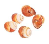 FIXOSHEE 5 Piezas Conchas Naturales para Escargot Conchas para Hornear Aislamiento Térmico Resistente para Restaurantes y Doméstico